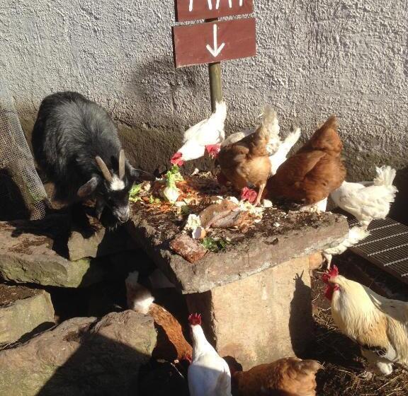 Otel äventyrsgårdens Vandrarhem, Kinnekulle