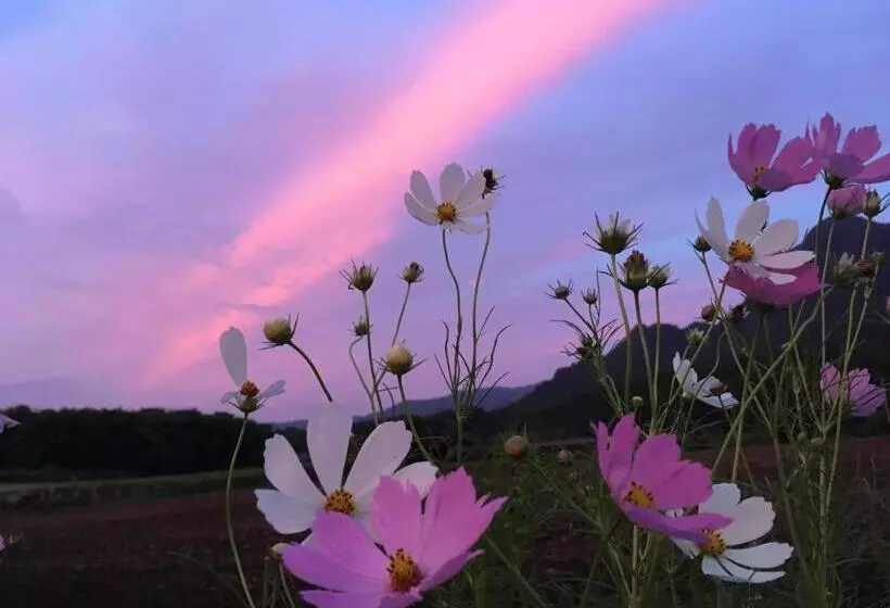 ペンション A Private Retreat Cotton Club Cottage