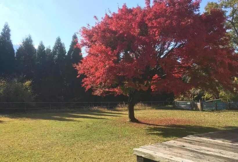 ペンション A Private Retreat Cotton Club Cottage