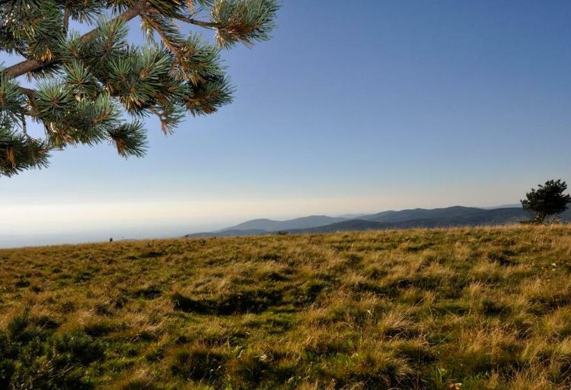 膳宿费 Ana Chronique