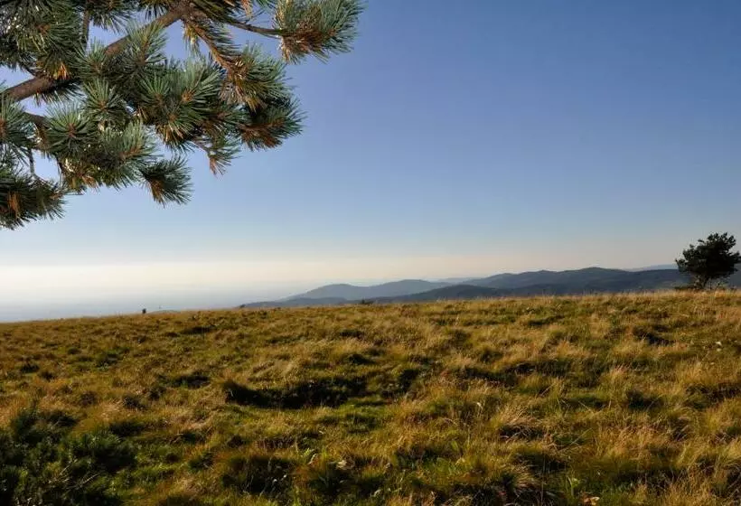 ペンション Ana Chronique