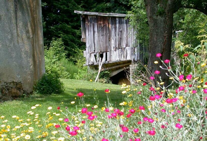 膳宿费 Ana Chronique