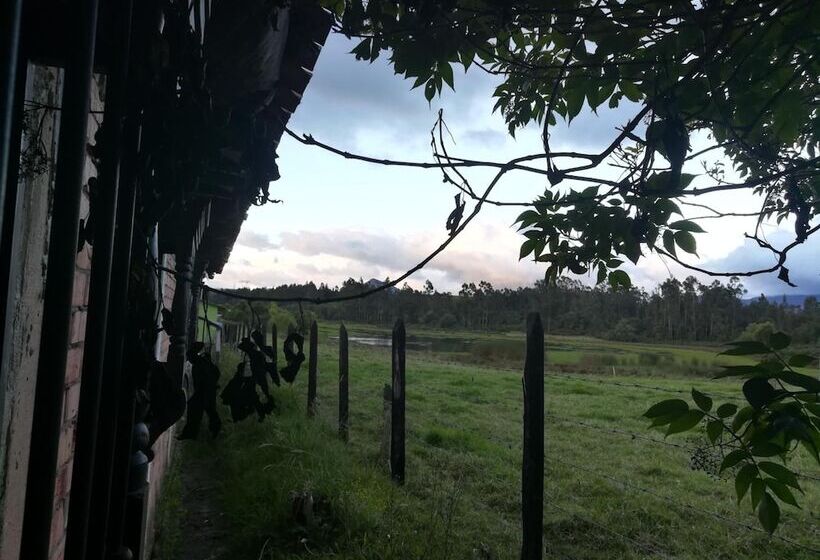 Pension Pedro Paramo