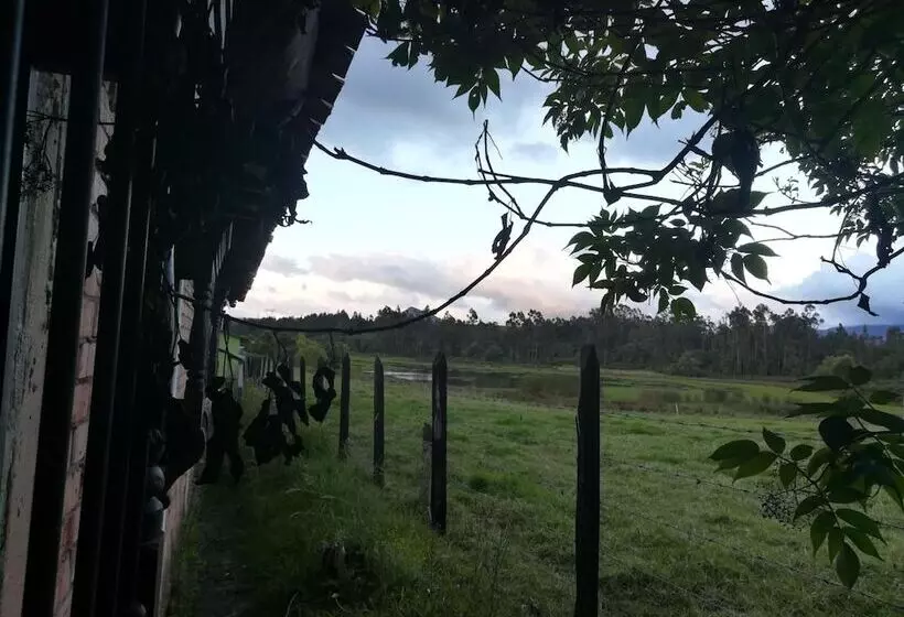 ペンション Pedro Paramo