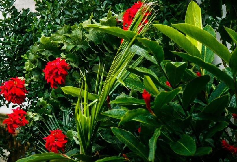 Пансион Pousada Raio De Sol