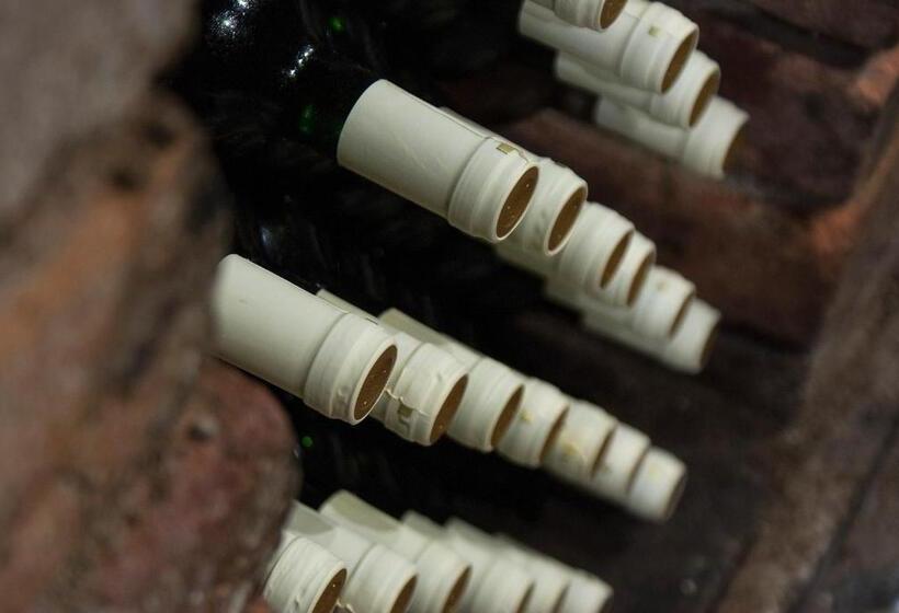 بنسيون Pura Vida