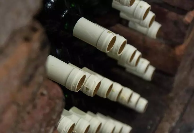 ペンション Pura Vida