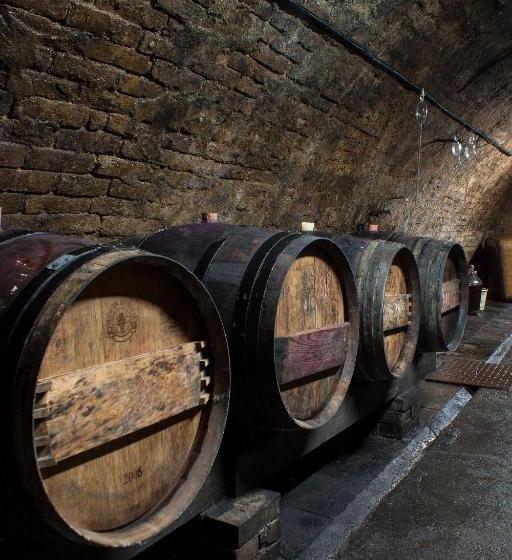 بنسيون Pura Vida