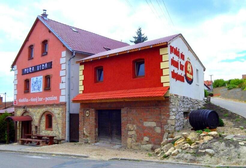 بنسيون Pura Vida