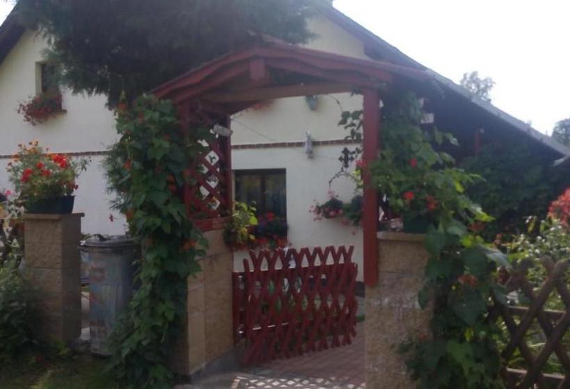 Пансион U Tří Koček