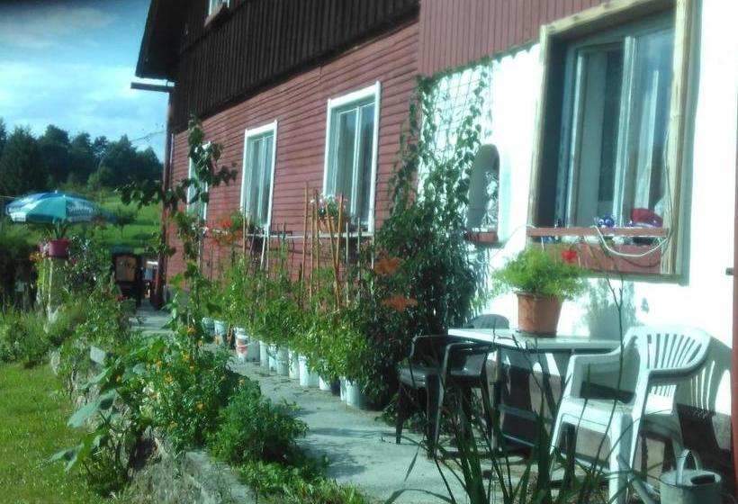 Пансион U Tří Koček