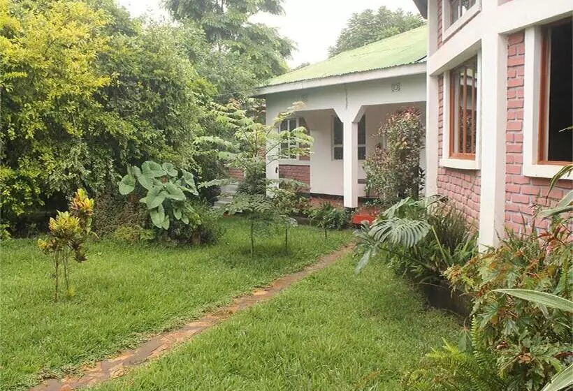 Shamba Hostel