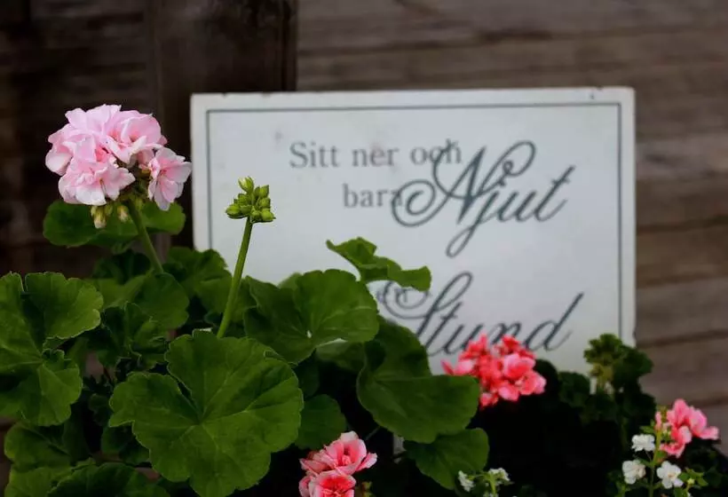 Perssons I Backens Pensionat  Sjötorps Vandrarhem & Rum