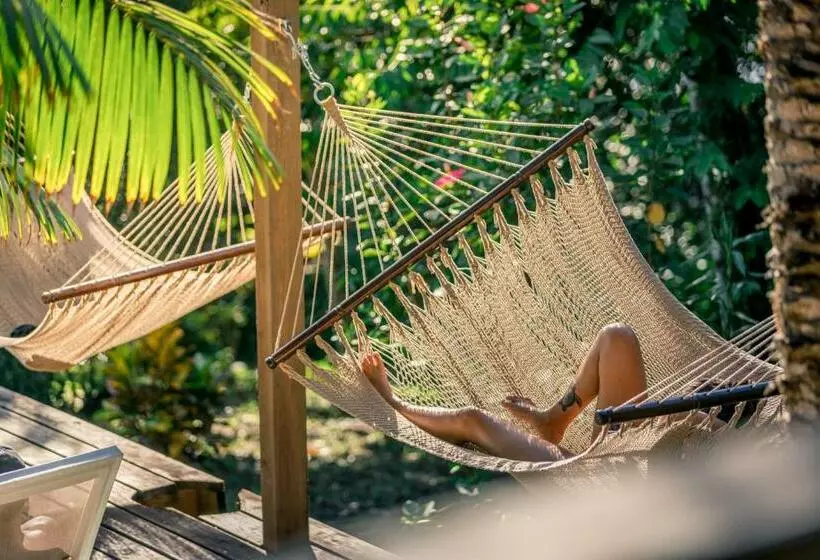 Retkeilymaja Bambuda Lodge