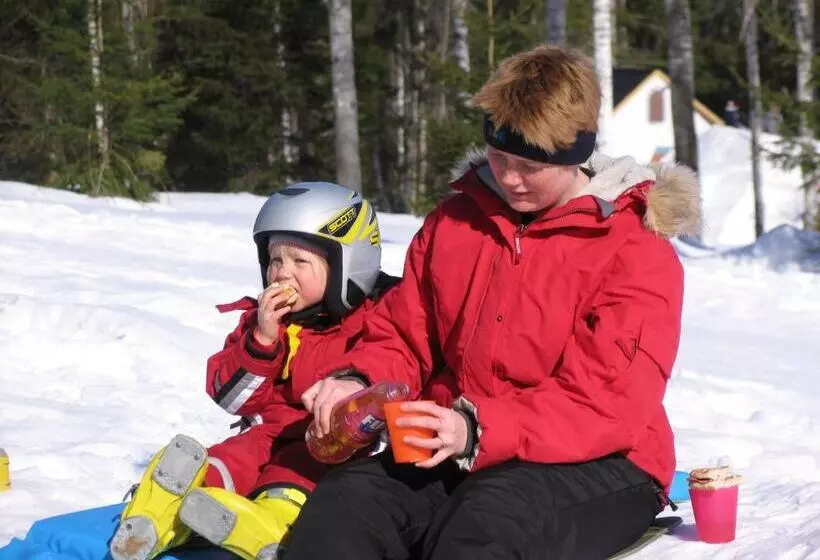 ユースホステル Valfjället Ski Center