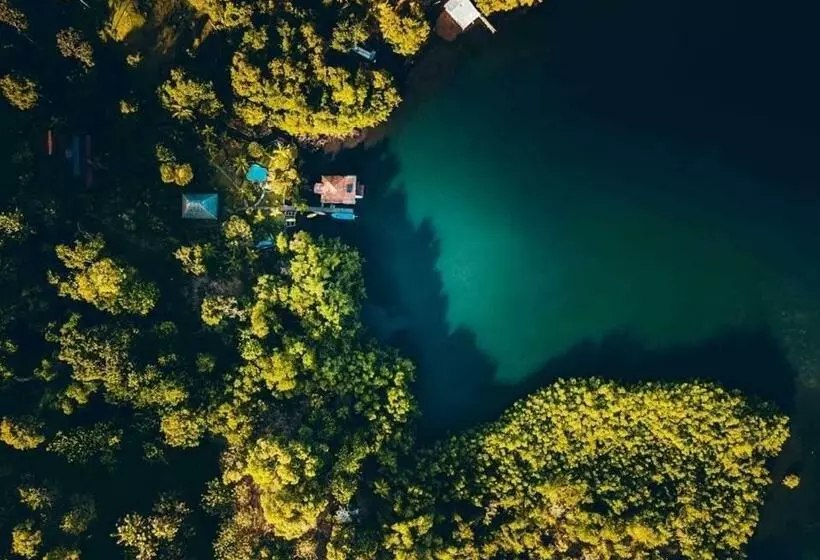 ベッドアンドブレックファースト Dolphin Bay Hideaway