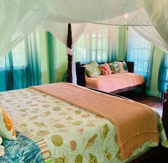 ベッドアンドブレックファースト Dolphin Bay Hideaway