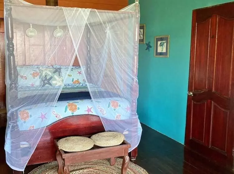 ベッドアンドブレックファースト Dolphin Bay Hideaway