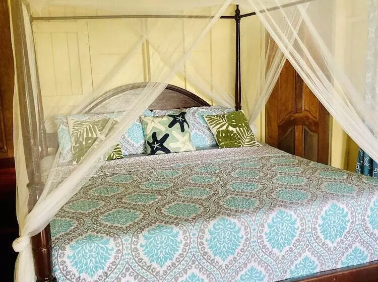 ベッドアンドブレックファースト Dolphin Bay Hideaway