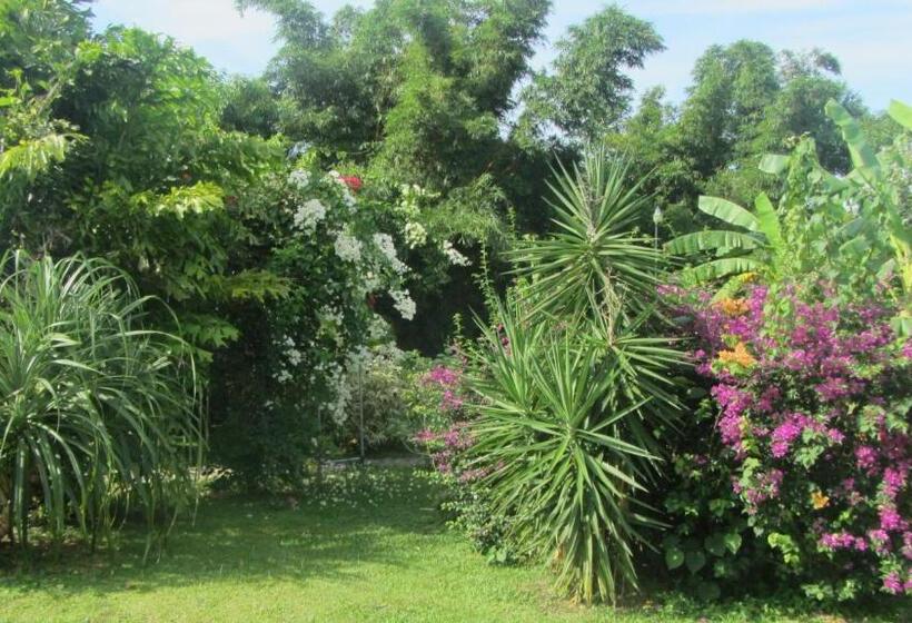 فندق Cabanas Los Colibris