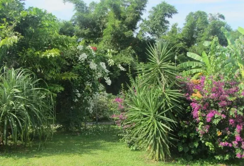 ホテル Cabanas Los Colibris