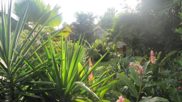 فندق Cabanas Los Colibris