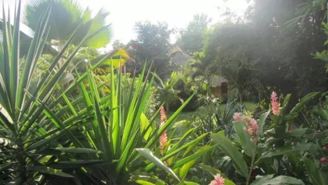 ホテル Cabanas Los Colibris