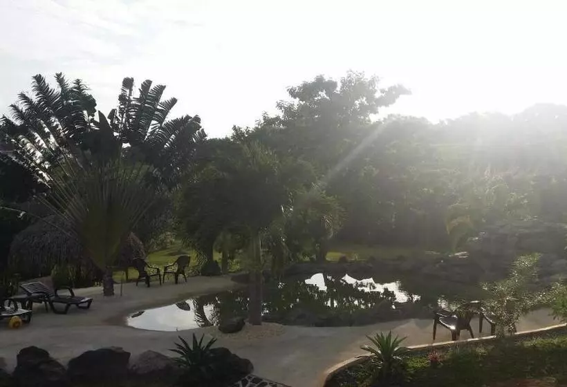 ホテル Cabanas Los Colibris