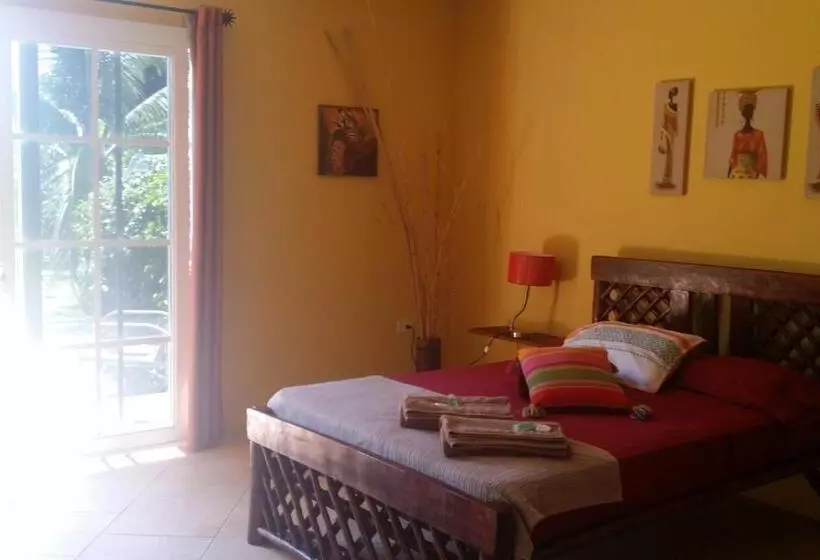 ホテル Cabanas Los Colibris