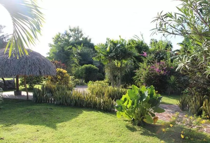 ホテル Cabanas Los Colibris