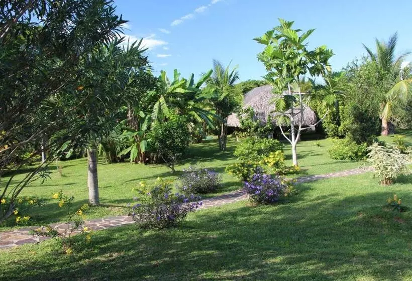 ホテル Cabanas Los Colibris