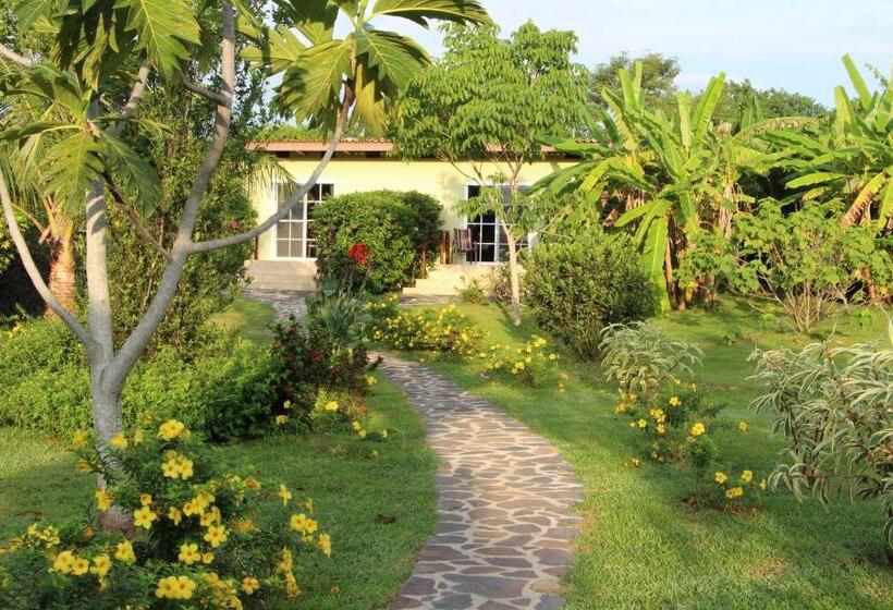 فندق Cabanas Los Colibris