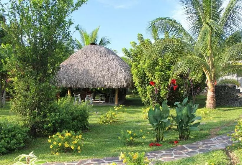 ホテル Cabanas Los Colibris