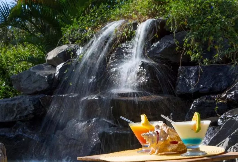 ホテル Cabanas Los Colibris