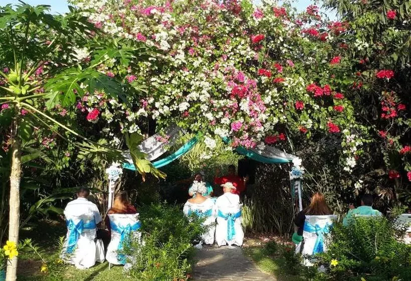 ホテル Cabanas Los Colibris