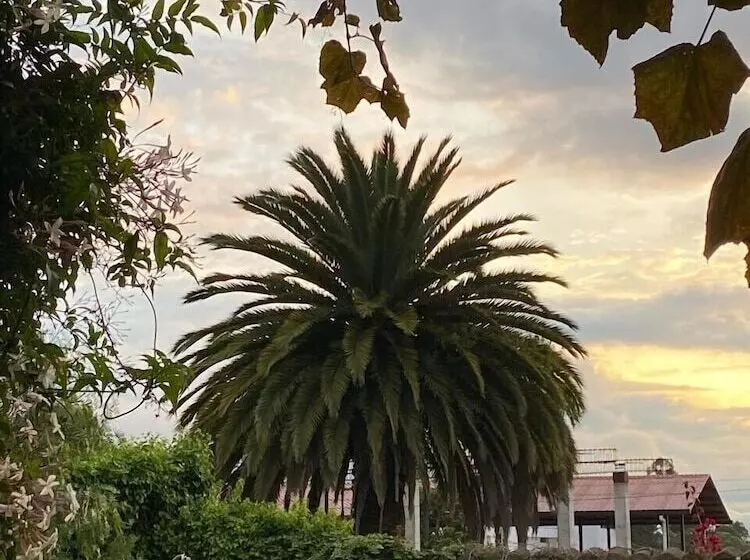 ホテル Casa Del Viajero