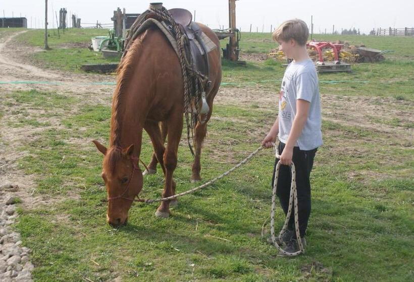 Отель Farma Růžová