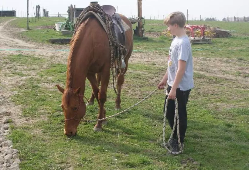 هتل Farma Růžová