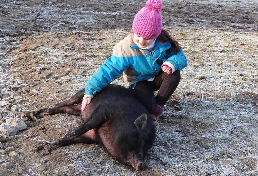 Отель Farma Růžová