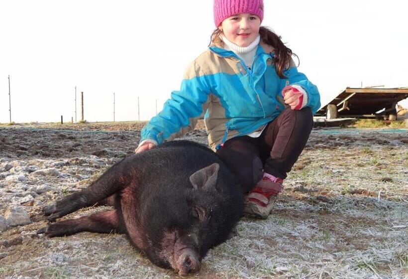 Отель Farma Růžová