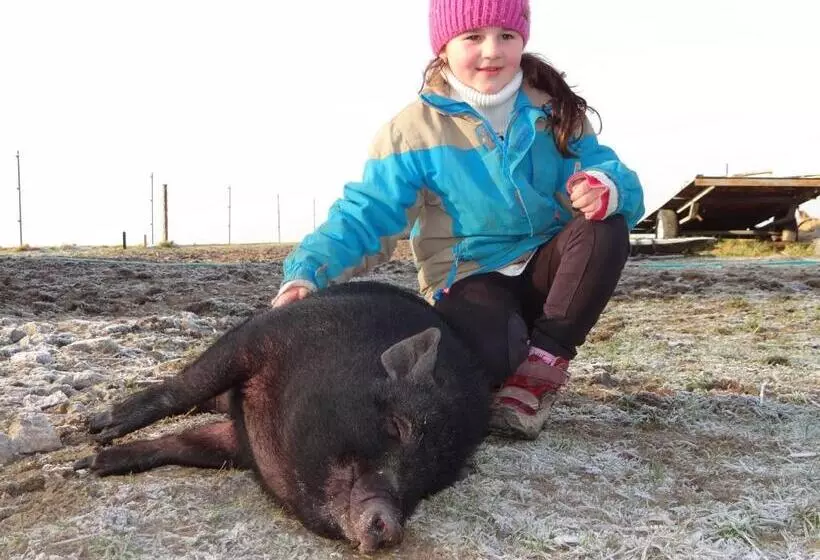 هتل Farma Růžová