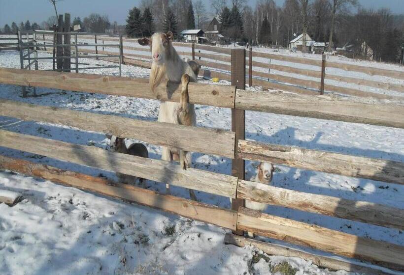 Отель Farma Růžová