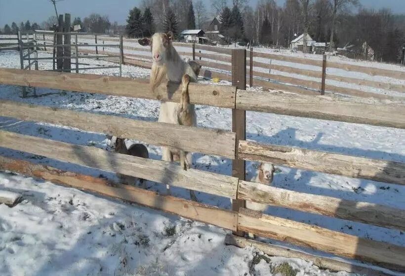 هتل Farma Růžová