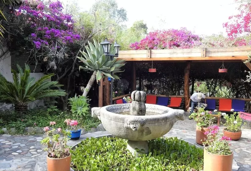 ホテル Hosteria Museart Pantavi