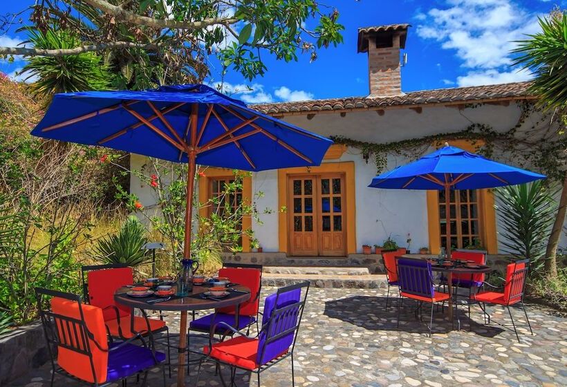 Hotel Hosteria Museart Pantavi