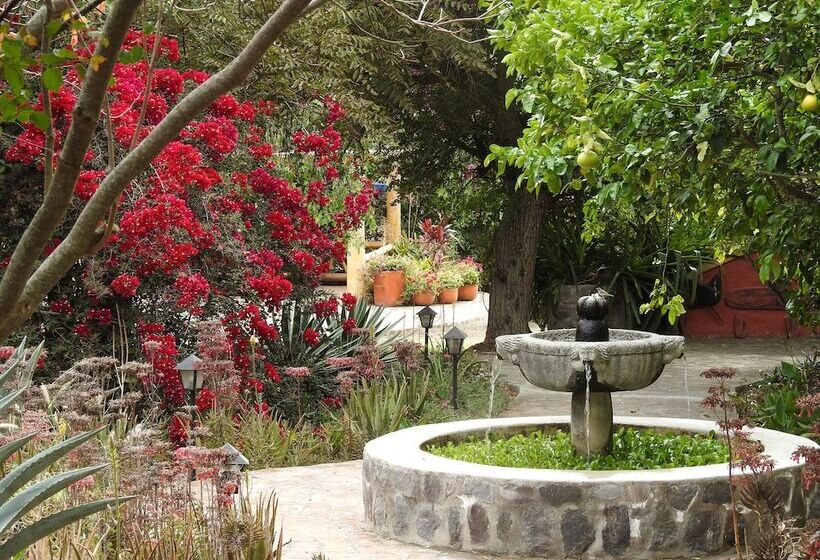 Hotel Hosteria Museart Pantavi