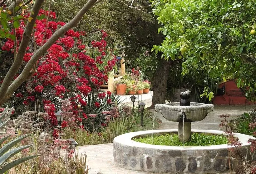 ホテル Hosteria Museart Pantavi