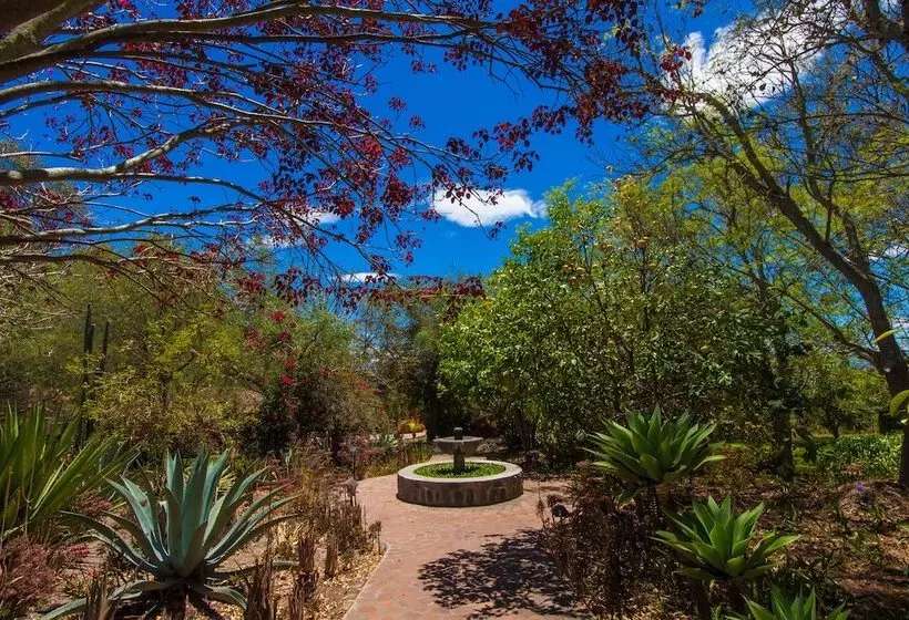 ホテル Hosteria Museart Pantavi