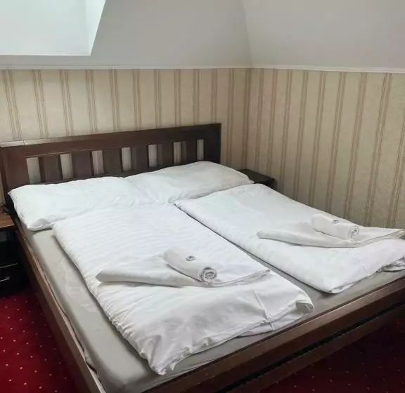 Hotelli Krušnohorský Dvůr