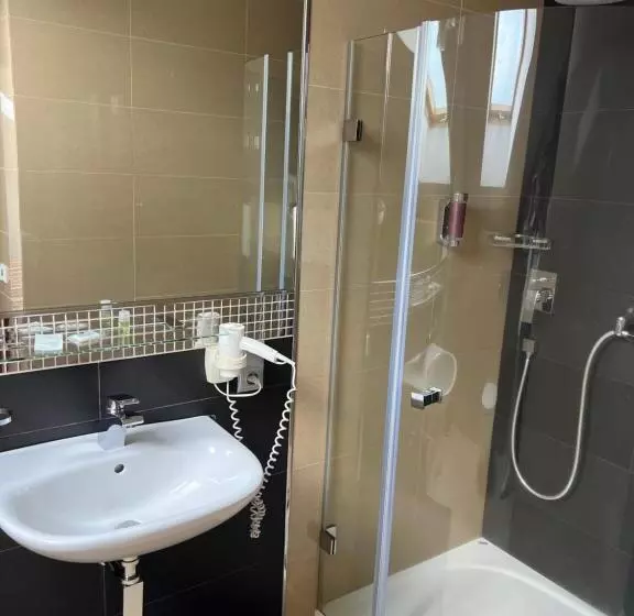 Hotelli Krušnohorský Dvůr